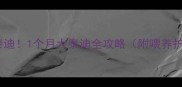 30天养出健康泰迪1个月大泰迪全攻略附喂养护理疾病预防