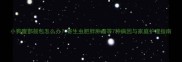小狗腹部鼓包怎么办寄生虫肥胖肿瘤等7种病因与家庭护理指南