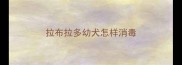 拉布拉多幼犬怎样消毒
