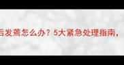 狗狗打疫苗后发蔫怎么办5大紧急处理指南家长必看