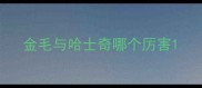 金毛与哈士奇哪个厉害