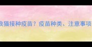如何科学给流浪猫接种疫苗疫苗种类注意事项及操作指南全