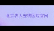 北京农大宠物医院官网