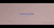 拉布拉多幼犬黑便