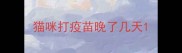 猫咪打疫苗晚了几天
