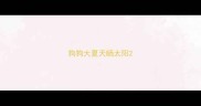 狗狗大夏天晒太阳