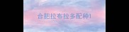 合肥拉布拉多配种