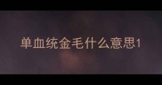 单血统金毛什么意思