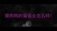 摸狗狗的蛋蛋会怎么样