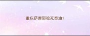 重庆萨摩耶咬死泰迪