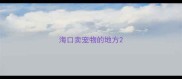 海口卖宠物的地方