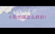 小狗的屎怎么样的