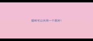 猫咪可以共用一个厕所