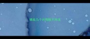 博美几个月狗粮不用泡