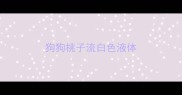 狗狗桃子流白色液体