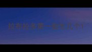 拉布拉多第一胎生几个