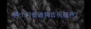 俩个月泰迪狗舌头颜色