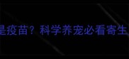 猫咪驱虫还是疫苗科学养宠必看寄生虫防控全攻略