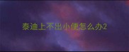 泰迪上不出小便怎么办