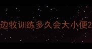边牧训练多久会大小便