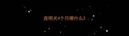 昆明犬4个月喂什么