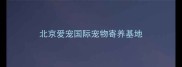 北京爱宠国际宠物寄养基地