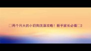 两个月大的小奶狗洗澡攻略新手家长必看