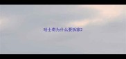 哈士奇为什么要拆家