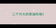 二个月大的泰迪吃啥