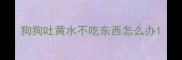 狗狗吐黄水不吃东西怎么办
