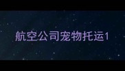 航空公司宠物托运