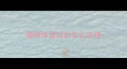 猫咪体温过低怎么处理