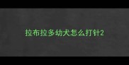 拉布拉多幼犬怎么打针