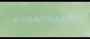 杭州给狗打狂犬疫苗