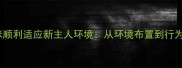 如何帮助成年猫咪顺利适应新主人环境从环境布置到行为调适的完整指南