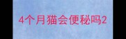 4个月猫会便秘吗
