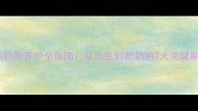 20天大泰迪奶狗养护全指南从出生到断奶的7大关键期护理要点