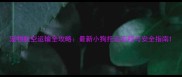 宠物航空运输全攻略最新小狗托运流程与安全指南