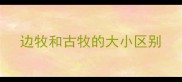 边牧和古牧的大小区别