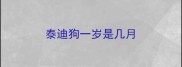 泰迪狗一岁是几月