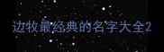 边牧最经典的名字大全