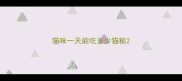 猫咪一天能吃多少猫粮