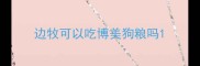 边牧可以吃博美狗粮吗