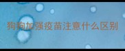 狗狗加强疫苗注意什么区别