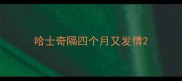 哈士奇隔四个月又发情