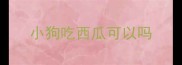 小狗吃西瓜可以吗