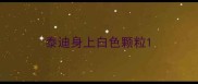 泰迪身上白色颗粒