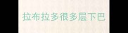 拉布拉多很多层下巴