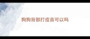 狗狗背部打疫苗可以吗