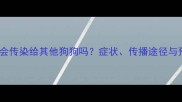狗狗感冒会传染给其他狗狗吗症状传播途径与预防指南